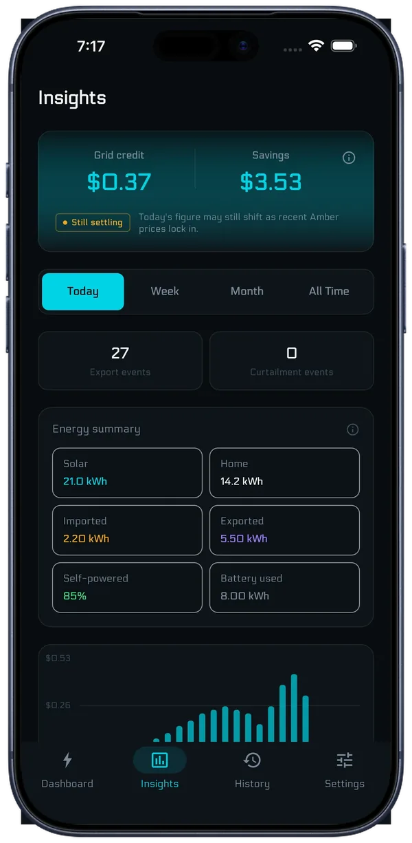 Insights screen showing savings, grid credit and an energy summary